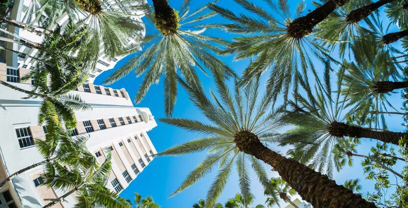 Building 7 – Al HaseerBuilding